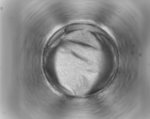 X0000088651237200706151959