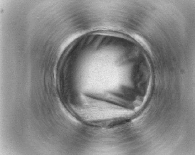 X0000088651238200706151959