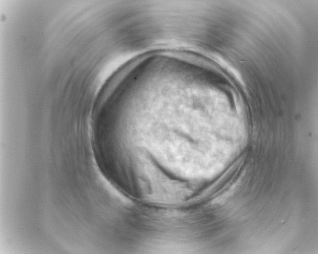 X0000088651239200706151959