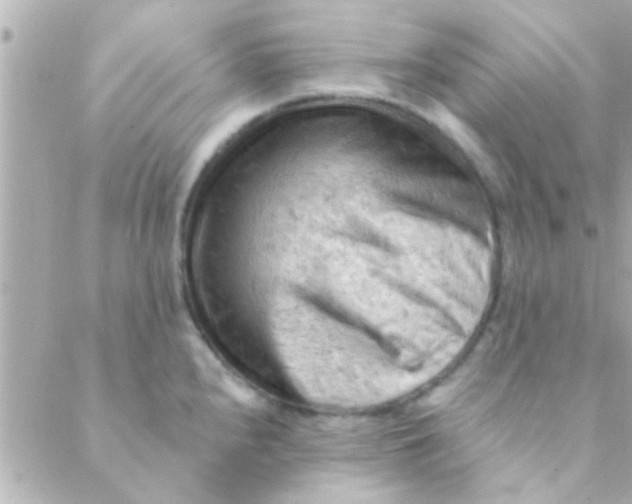 X0000088651240200706151959