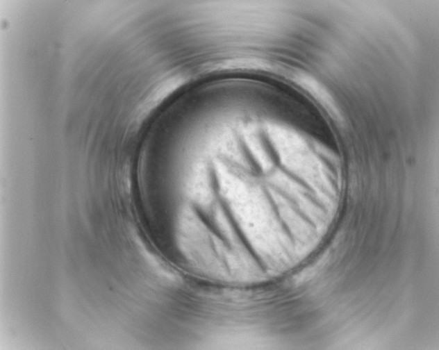 X0000088651241200706151959