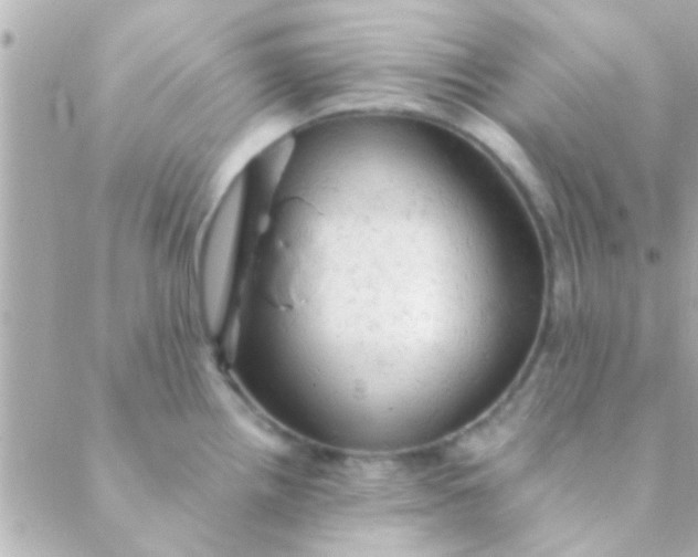 X0000088651242200706151959