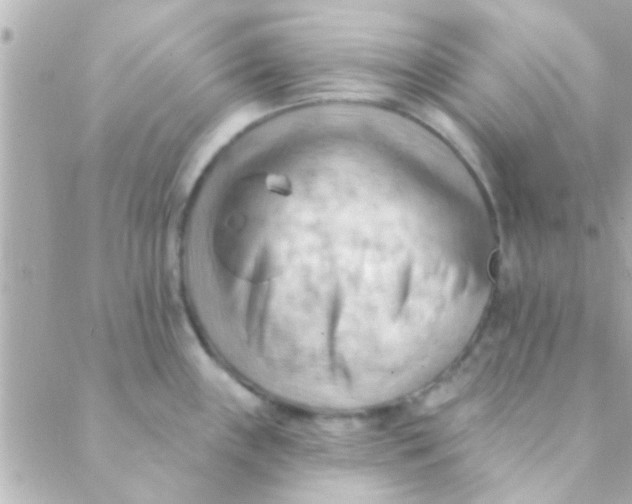 X0000088651243200706151959