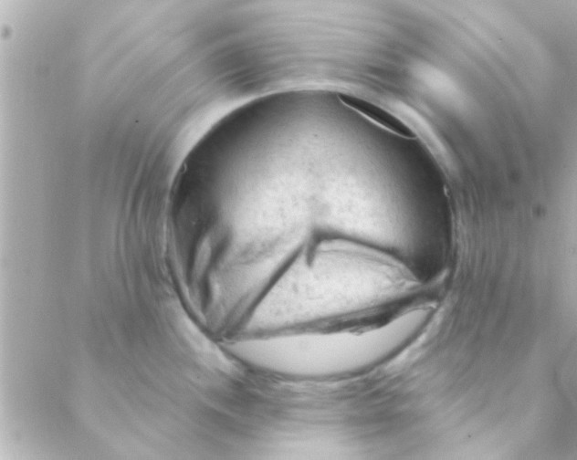 X0000088651244200706151959