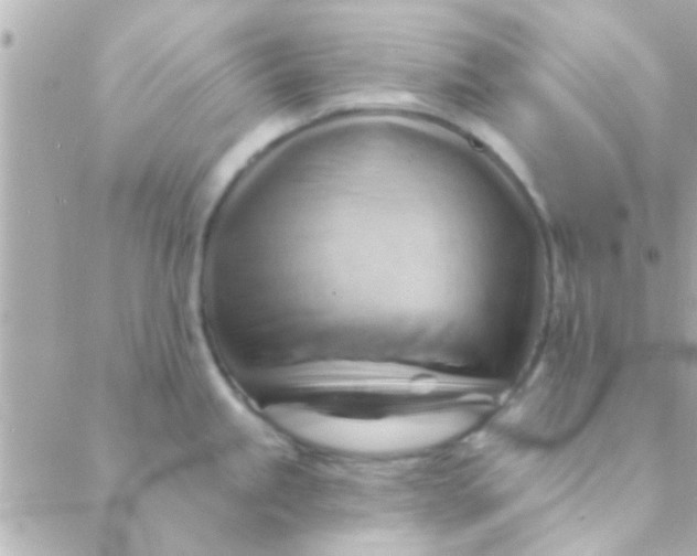 X0000088651245200706151959