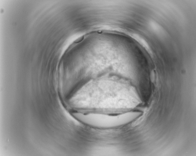 X0000088651247200706151959