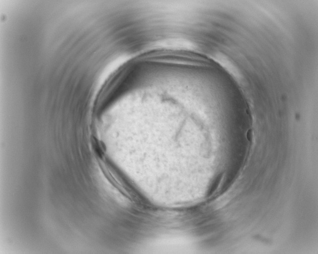 X0000088651248200706151959