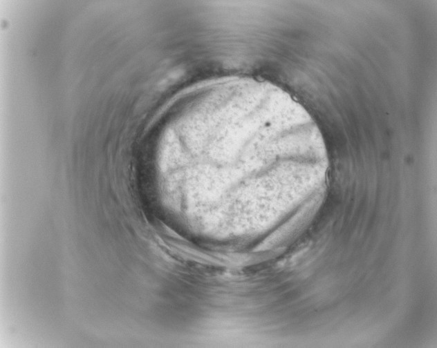 X0000088651249200706151959