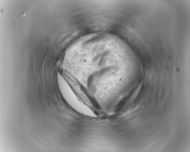 X0000088651250200706151959