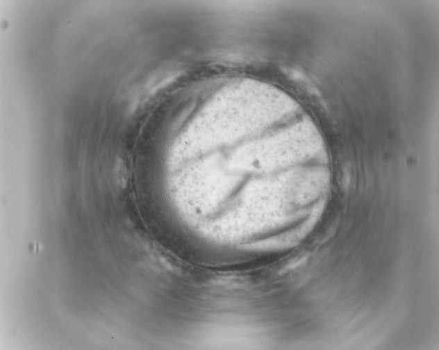 X0000088651253200706151959