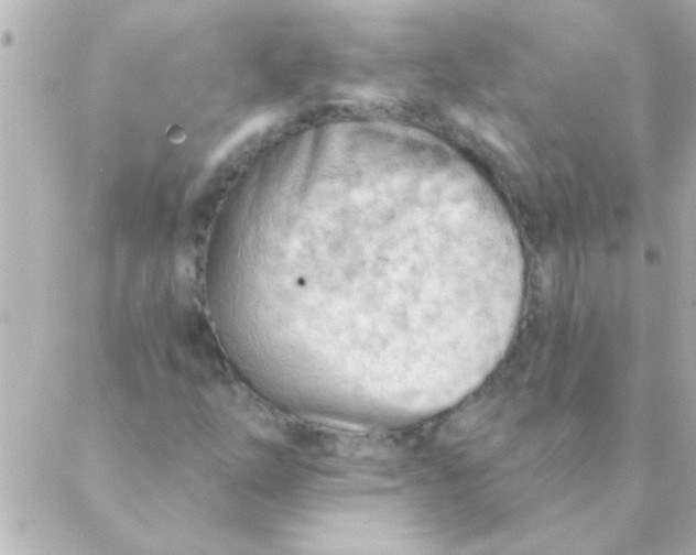 X0000088651254200706151959