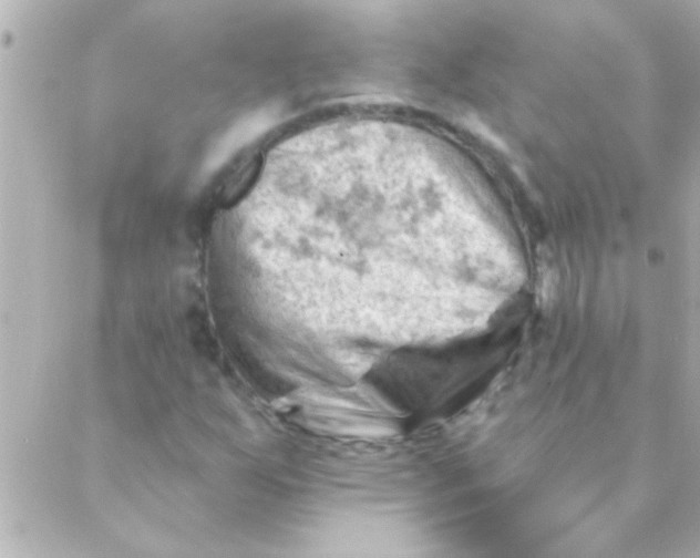 X0000088651255200706151959