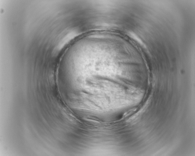 X0000088651259200706151958