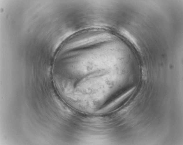 X0000088651260200706151958