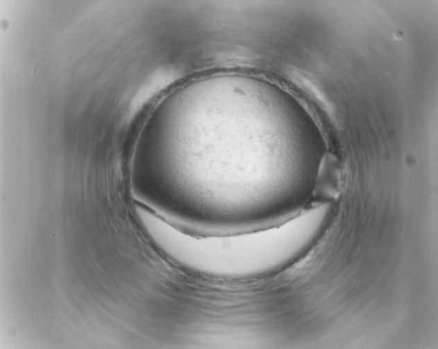 X0000088651261200706151958