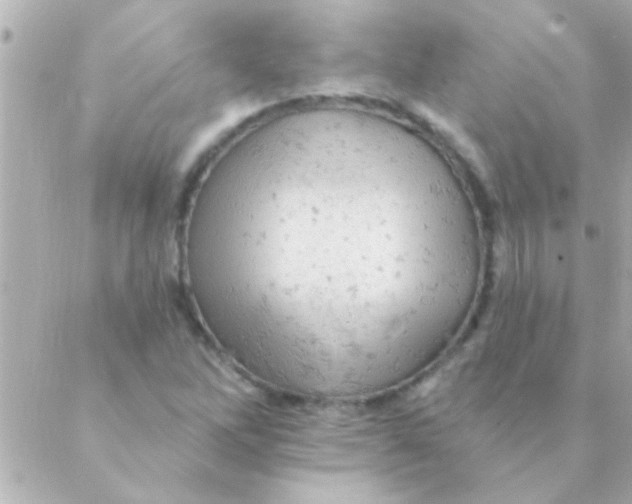 X0000088651262200706151958