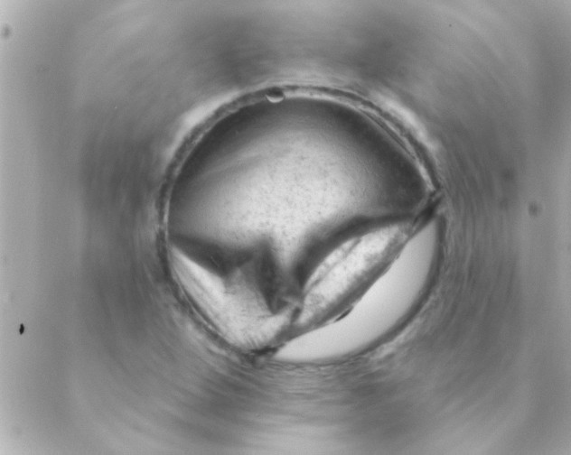 X0000088651264200706151958