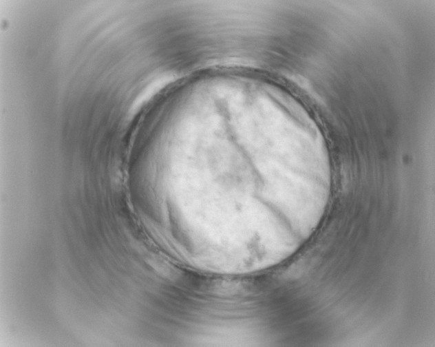 X0000088651266200706151958