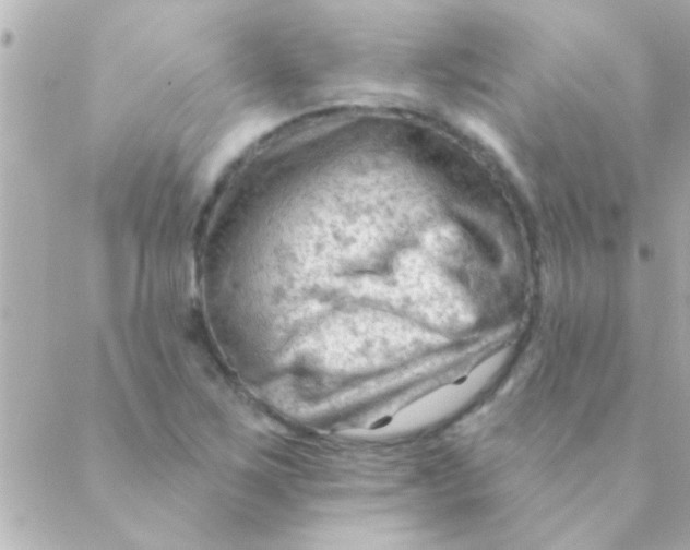 X0000088651267200706151958