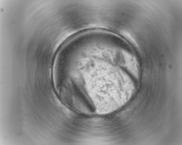 X0000088651268200706151958