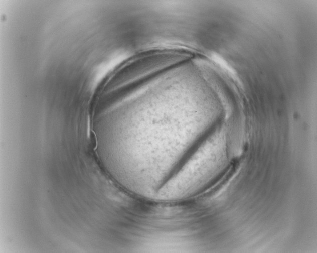 X0000088651269200706151958