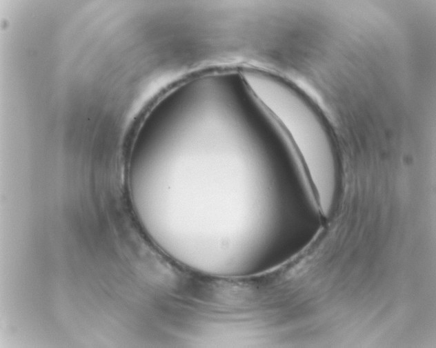 X0000088651270200706151958