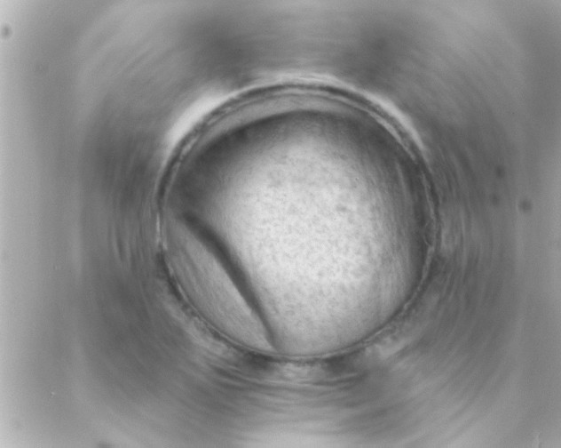 X0000088651271200706151958