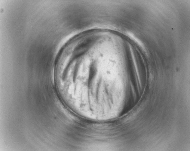 X0000088651272200706151958