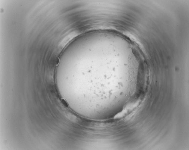 X0000088651273200706151958