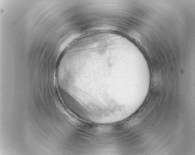 X0000088651274200706151958