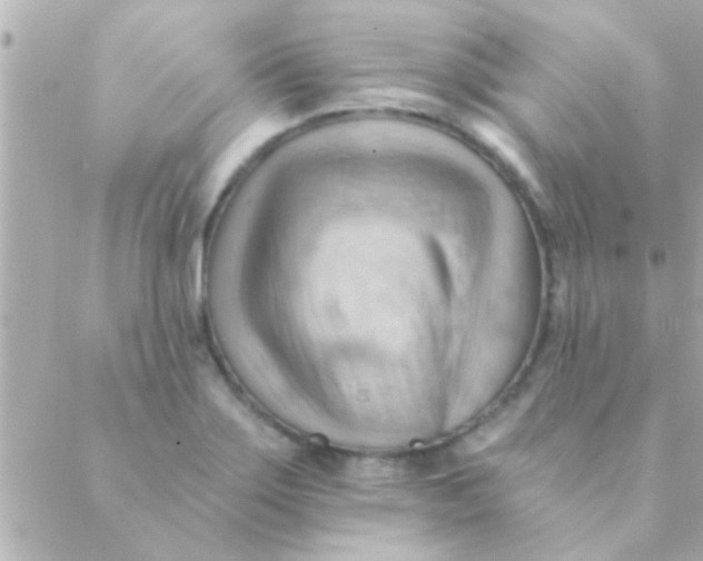 X0000088651275200706151958