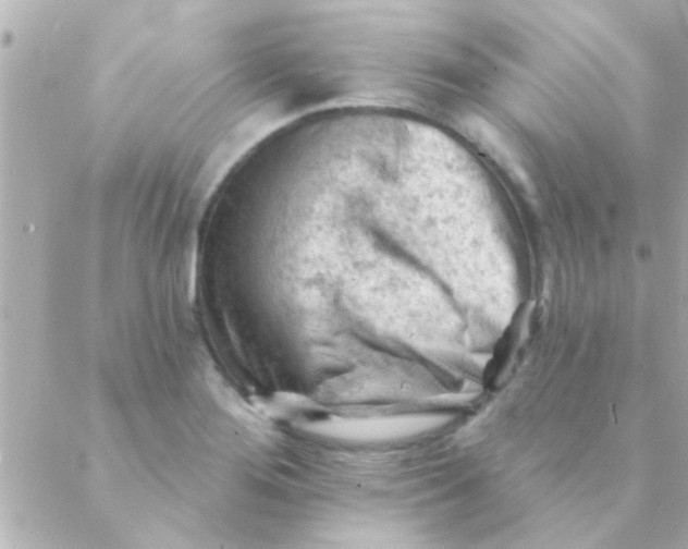 X0000088651276200706151958