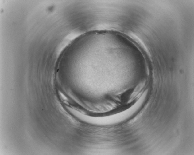 X0000088651277200706151958