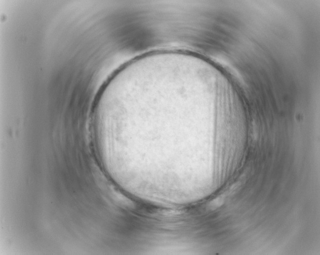 X0000088651278200706151958