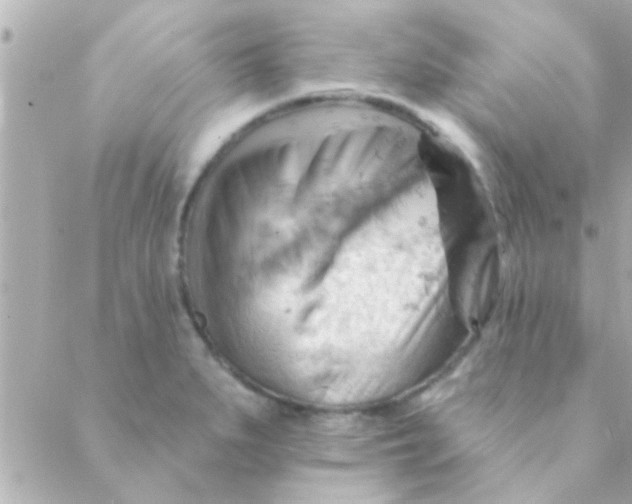 X0000088651279200706151958