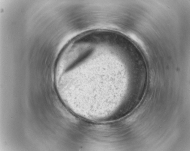 X0000088651280200706151958