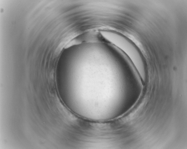 X0000088651281200706151958