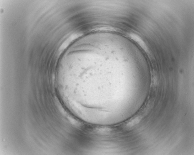 X0000088651282200706151958