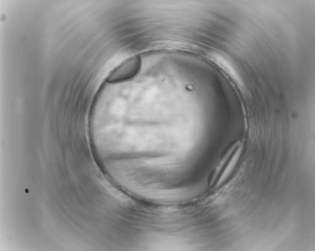 X0000088651283200706151958