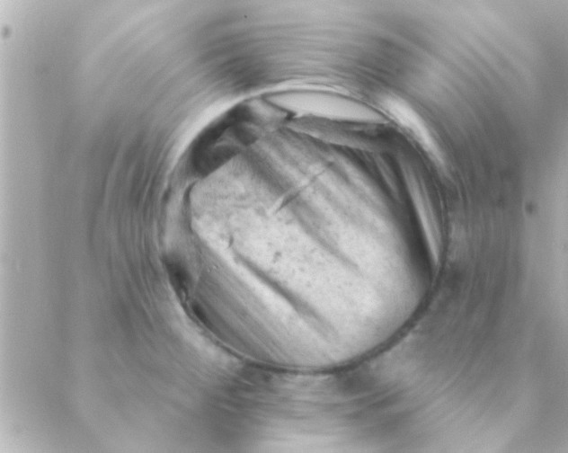 X0000088651284200706151958