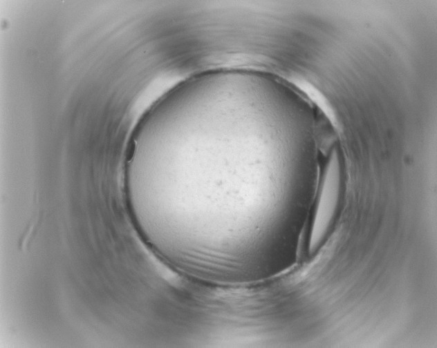 X0000088651285200706151958