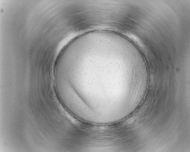 X0000088651286200706151958