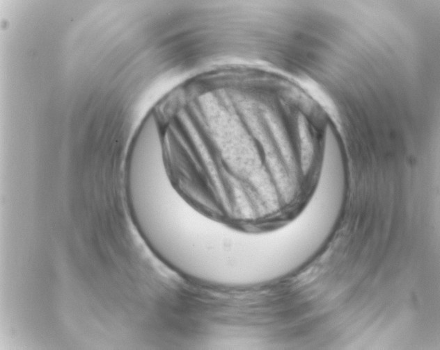 X0000088651287200706151958