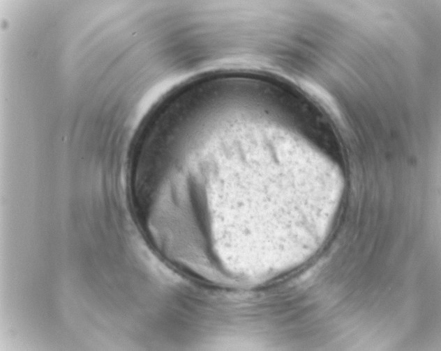 X0000088651288200706151958