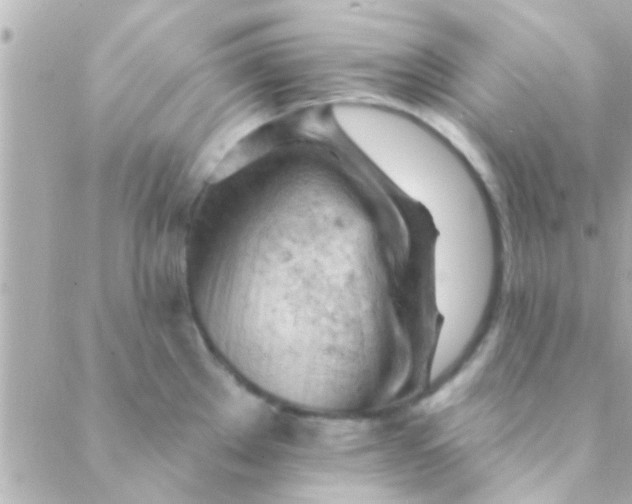 X0000088651289200706151958