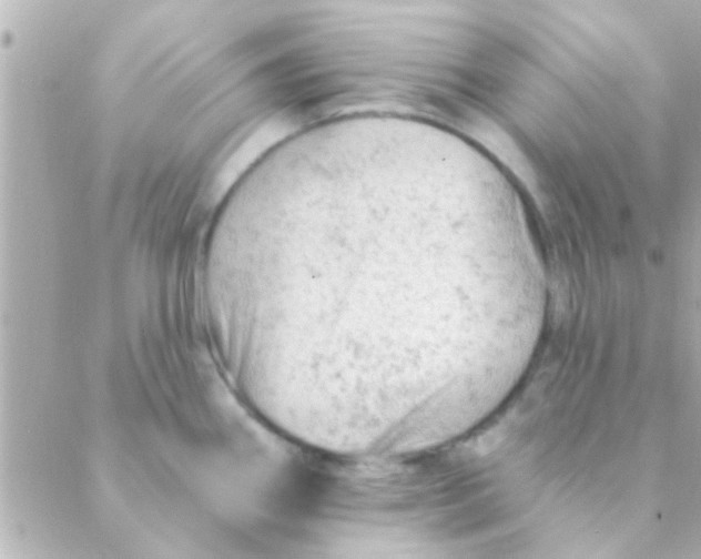 X0000088651290200706151958