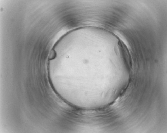 X0000088651291200706151958