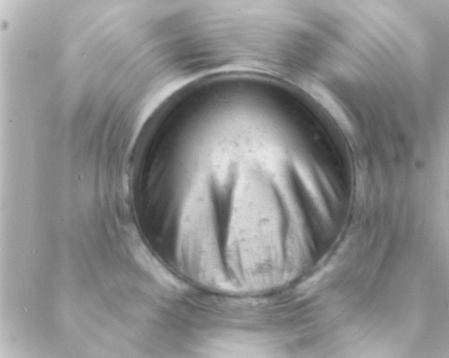 X0000088651292200706151958