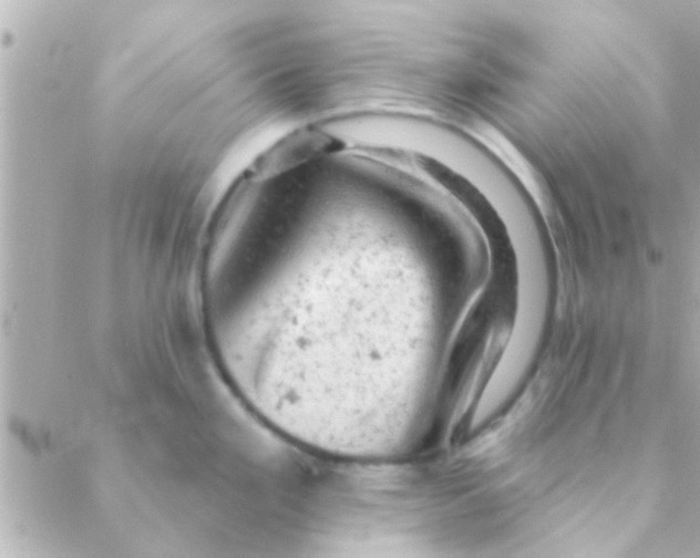 X0000088651293200706151958