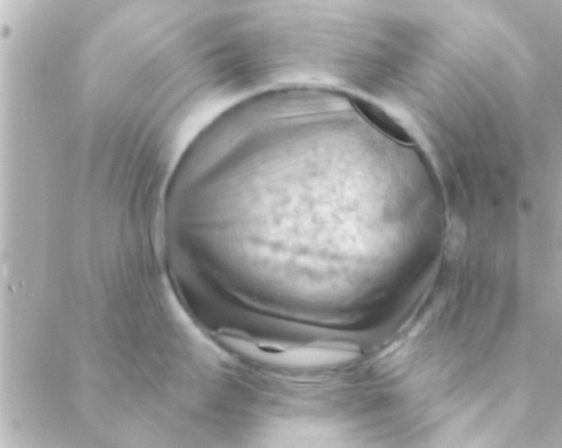 X0000088651295200706151958